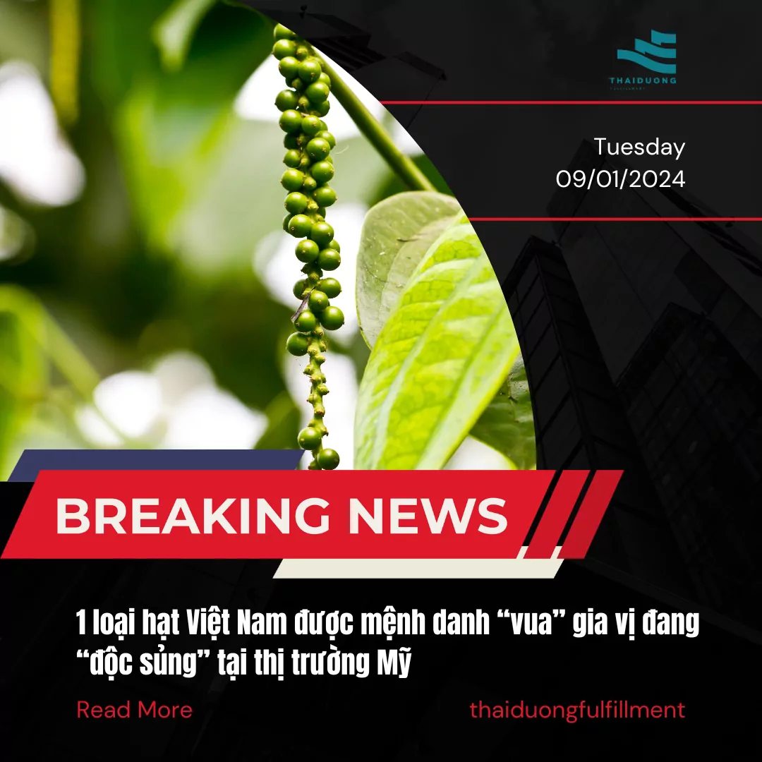 1 loại hạt Việt Nam được mệnh danh “vua” gia vị đang “độc sủng” tại thị trường Mỹ